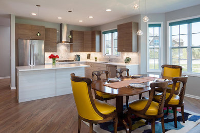Kitchen - contemporary kitchen idea in Chicago