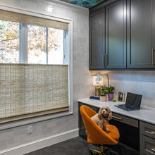Windows & Window Treatments