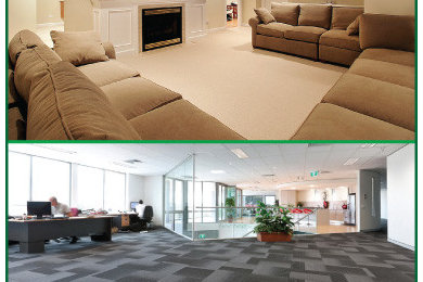 Organic Dry Carpet Cleaning - Alexandria