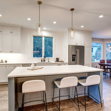 Contemporary Whole Home Renovation in Chevy Chase, MD.