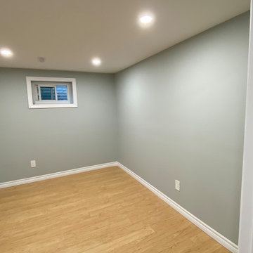 Basement Renovation