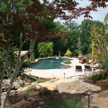 Pool Landscape | St. Louis, MO