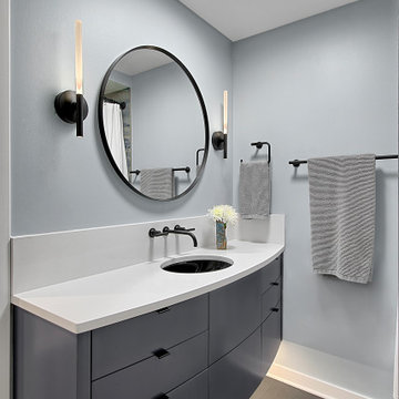 Mid-Century Modern Home Remodel