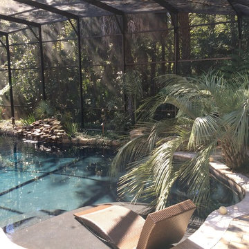 Jungle Love Pool Area