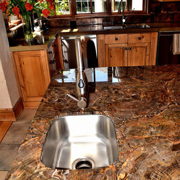 Petrified Wood