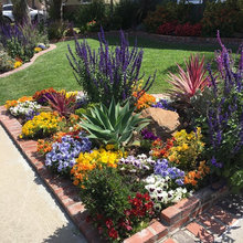 Landscaping Ideas