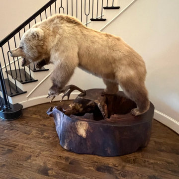 Custom Parota Root Base for a Grizzly Bear Mount