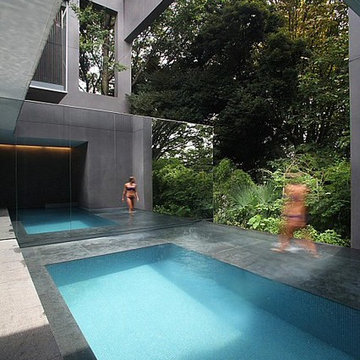 Dancing Tree Singing Bird