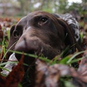 Holly Stamey's photo