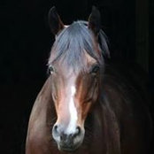 Foto von Peggy Allen