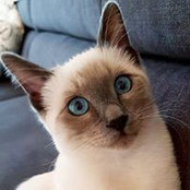 Katrin Fu's photo