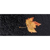 Lindsay Thomason Hagblom's photo