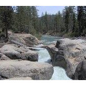 Mary Paasch's photo