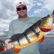 Ron Carpenter's photo