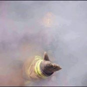 Chris Weiss's photo
