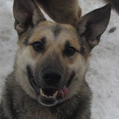 Елена Панова's photo