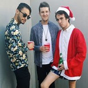 Llewellyn Ryans foto