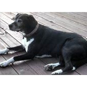 Sharlene Bruns's photo