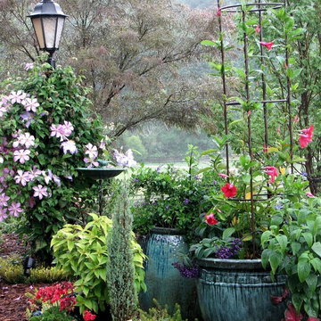 Container Gardening
