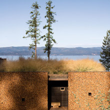 Roof Grass