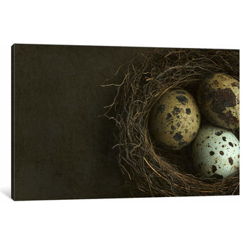 "Bird's Nest and Quail Eggs Closeup" by Alyson Fennell Canvas Print, 18"x26"