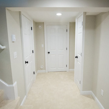 Basement remodel