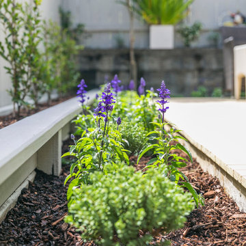 A tiny back garden
