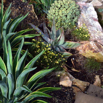 Xeriscape Drought Resistant Landscaping