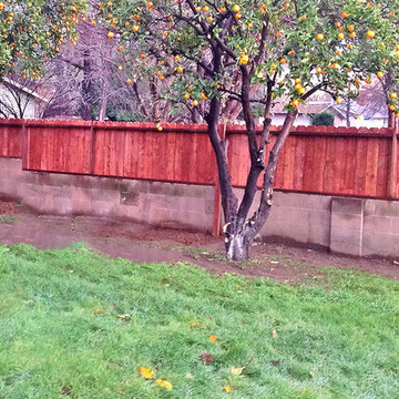 Custom Fence--Redwood Privacy