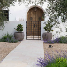 Backyard - new