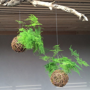 Plant sculptures