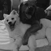 Esther McElroy's photo
