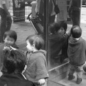 Aju Hsuさんの写真