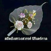 Ampai Toruen's photo