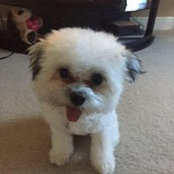 Donna Sweedy's photo