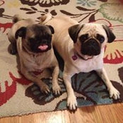 Michele Hennessy's photo