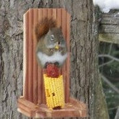 Kathie Bowman's photo