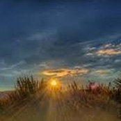 Foto de Ellen Ratcliffe