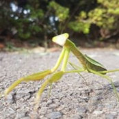 Foto de 杜宗翰

