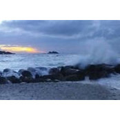 Sandra Wadhams's photo