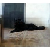 Foto von Laura Parnáss