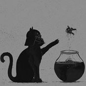 Bruno Ninfort's photo