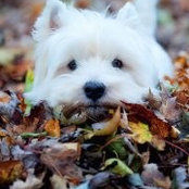Barbara Reimann's photo