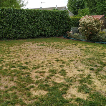 Jardin complet avec pose de gazon et création de massifs