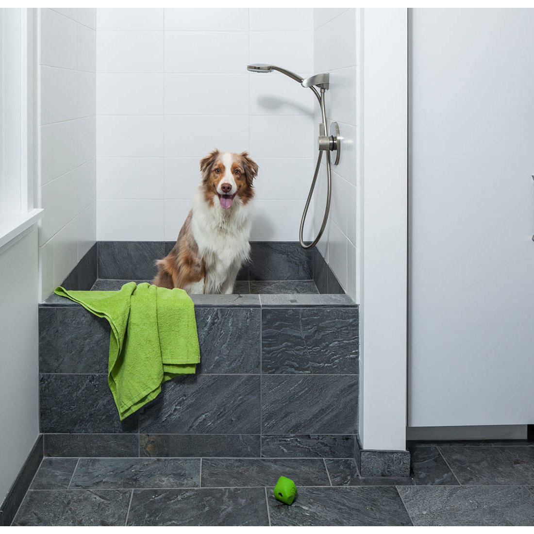 SE Vancouver Remodel