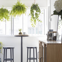 plants