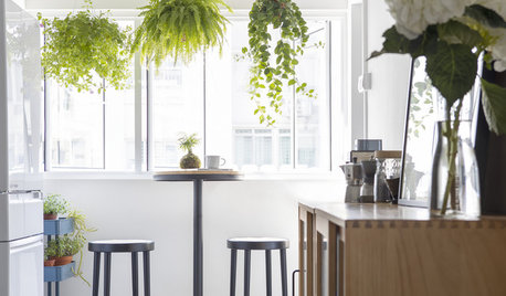 Houzz Tour: A Broken-plan Layout Creates a Light, Sociable Home