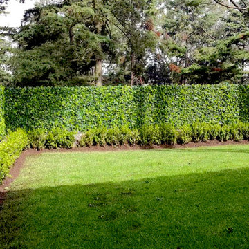 Privacy Solutions with GreenSmart Decor