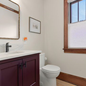 St. Paul Addition/Main Level Remodel