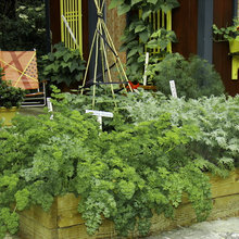 Horta